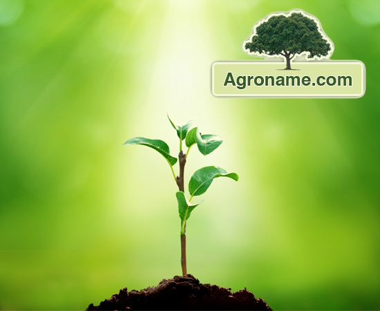 Agroname.com - Farmers' Social Network